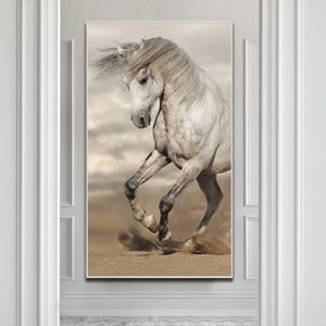 Wild and Free Dusty White Horse Canvas